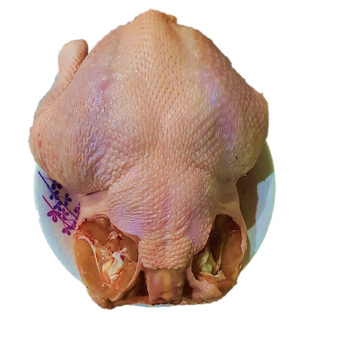 Gà CN bỏ chân cổ cánh