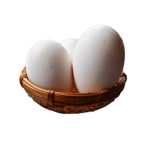 Trứng Ngỗng quê