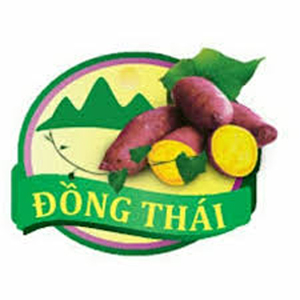 Khoai lang Đồng Thái