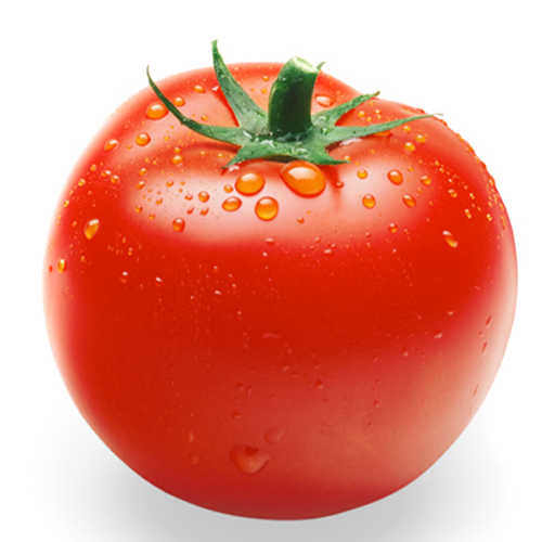 Cà chua đỏ T.Vita