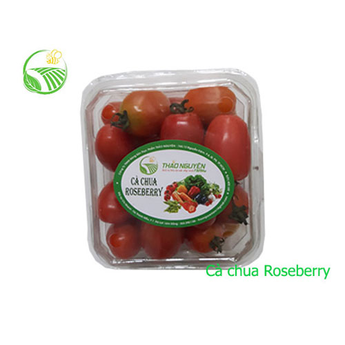 Cà chua roseberry