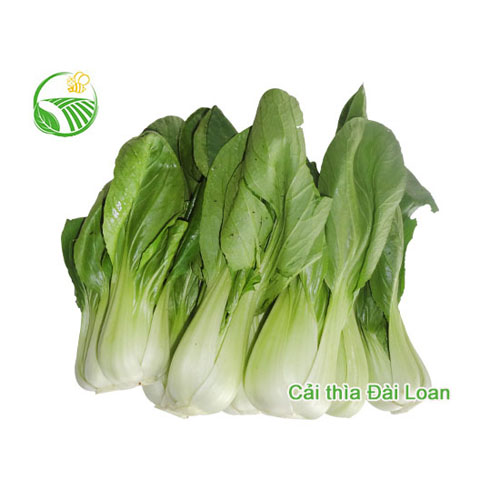 Cải thìa Đài Loan