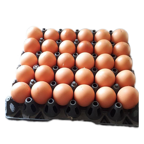 Trứng gà sạch