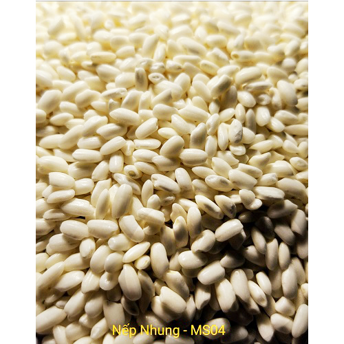 Gạo Nếp Nhung - MS04