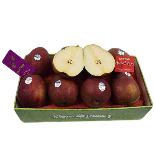 Lê Red Anjou - Lê Đỏ Mỹ