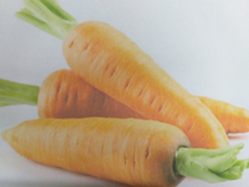 Củ cà rốt