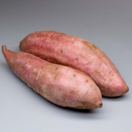 Khoai lang giống Nhật