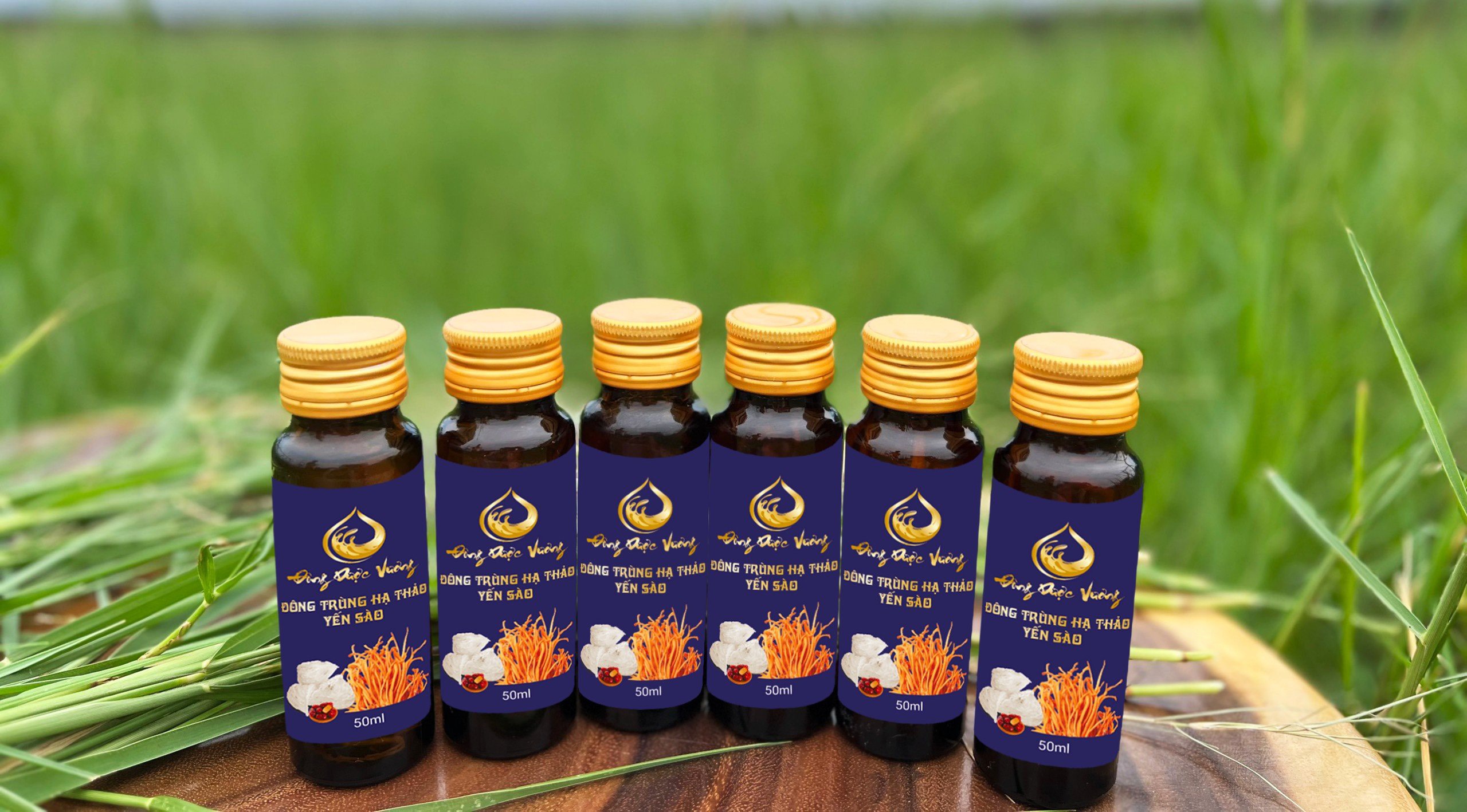 Nước đông trùng hạ thảo 50ml