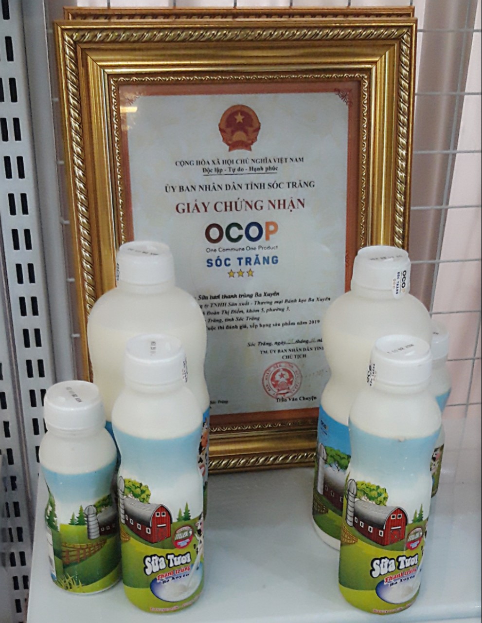 SỮA TƯƠI BA XUYÊN