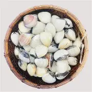 Thủy hải sản Anh Minh