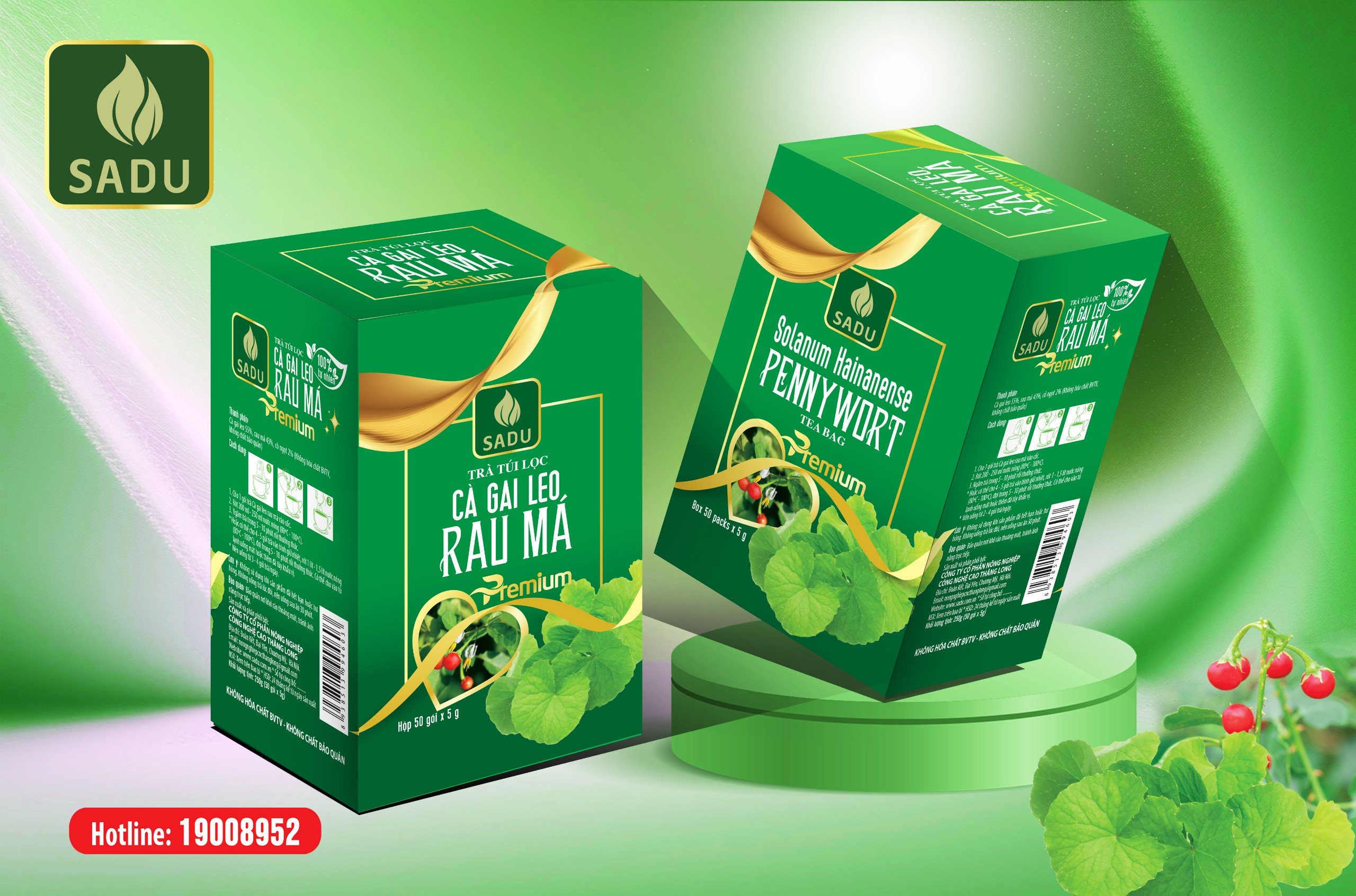 Trà Túi lọc Cà gai leo Rau Má