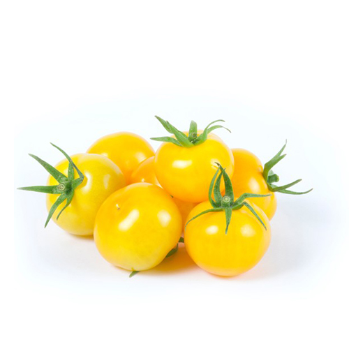 Cà chua baby vàng
