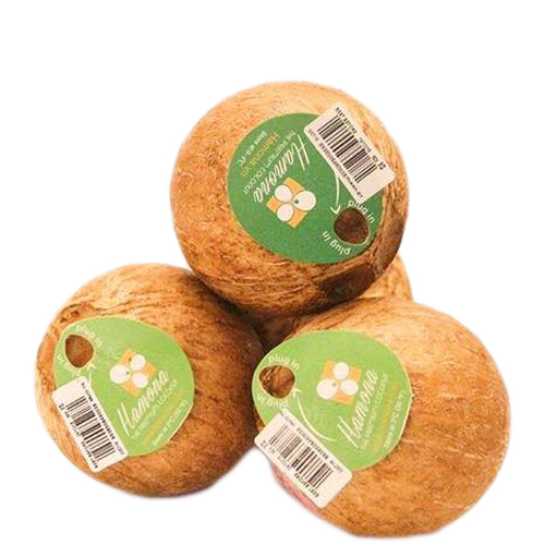Hamona Coconut size MS