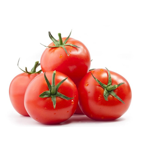Cà chua - Hải Anh