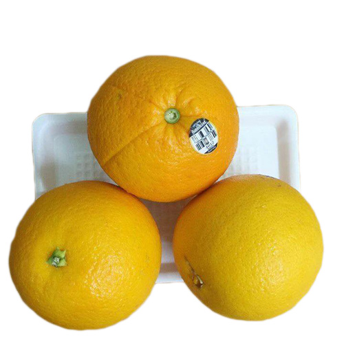 Australian Oranges