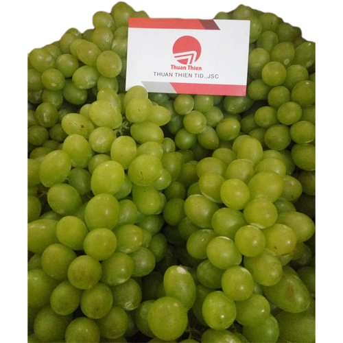 Ninh Thuan Green Grapes