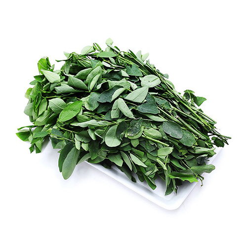Katuk/ Sweet leaf vegetable
