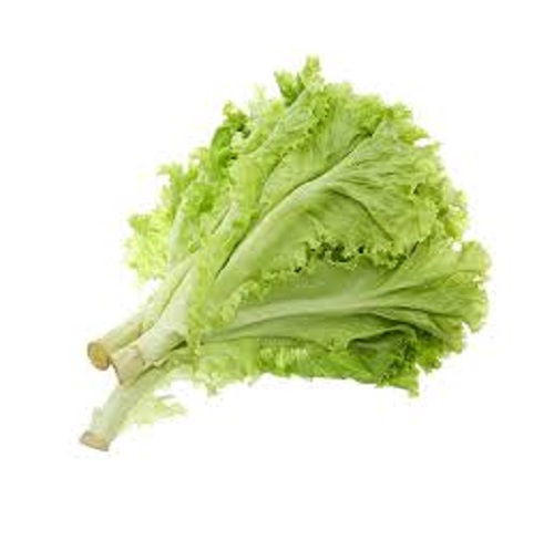 Rau xà lách xanh